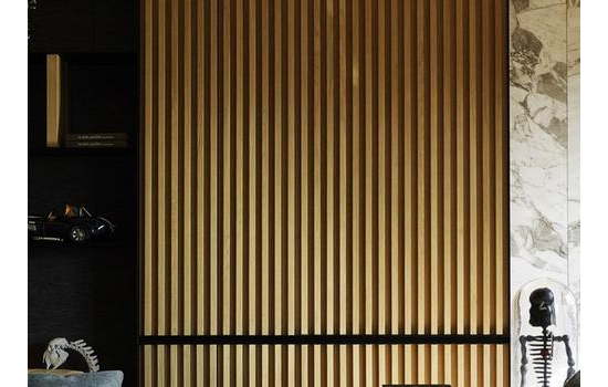 塑木复合材料在墙体装饰中的应用