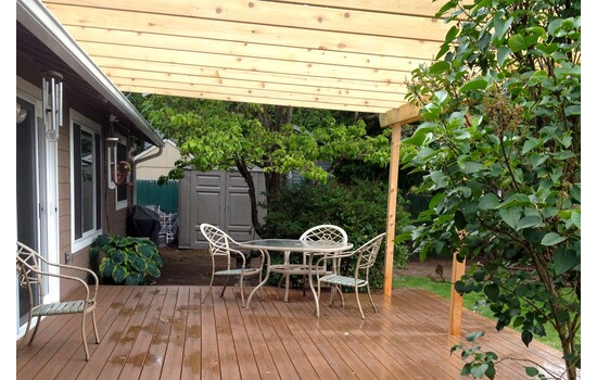 木粉/聚丙烯复合材料的压缩流变性能研究